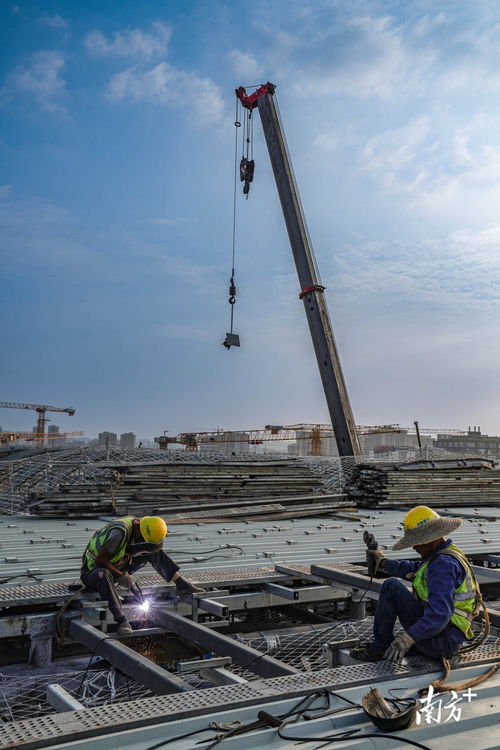 視界丨非凡工程 共建灣區(qū) 建筑工程的壯麗篇章